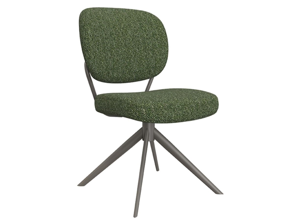 Eetkamerstoel Axton - forest - zonder arm - metaalkleur dark green