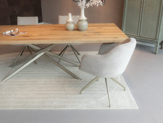 eetkamer stoel met gekleurd onderstel in stof