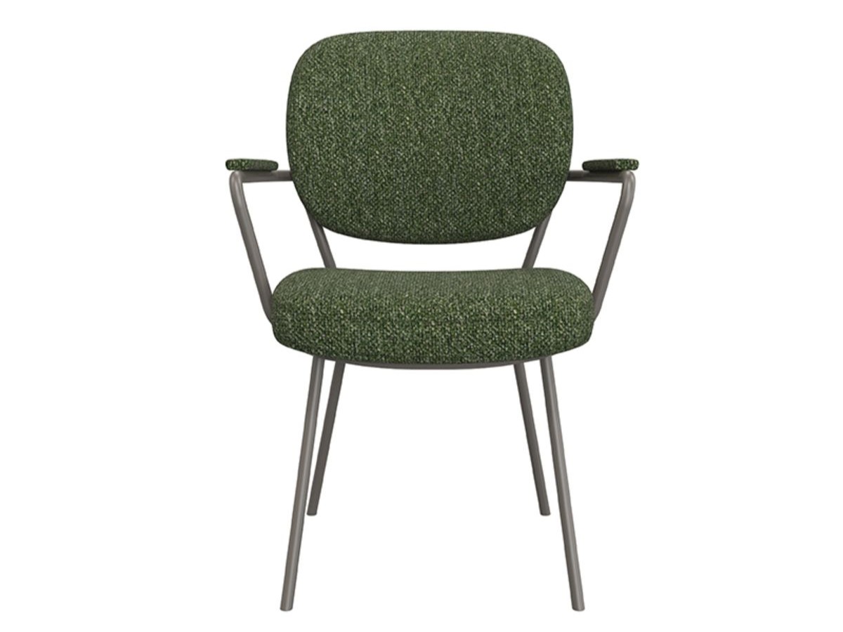 Eetkamerstoel Solis - forest - met arm - metaalkleur dark green