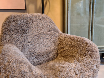 labradoodle fauteuil