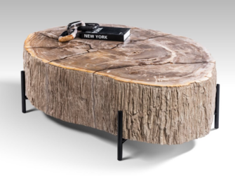 Salontafel Petra - 120x100x40cm - Lampung petrified wood coffeetable