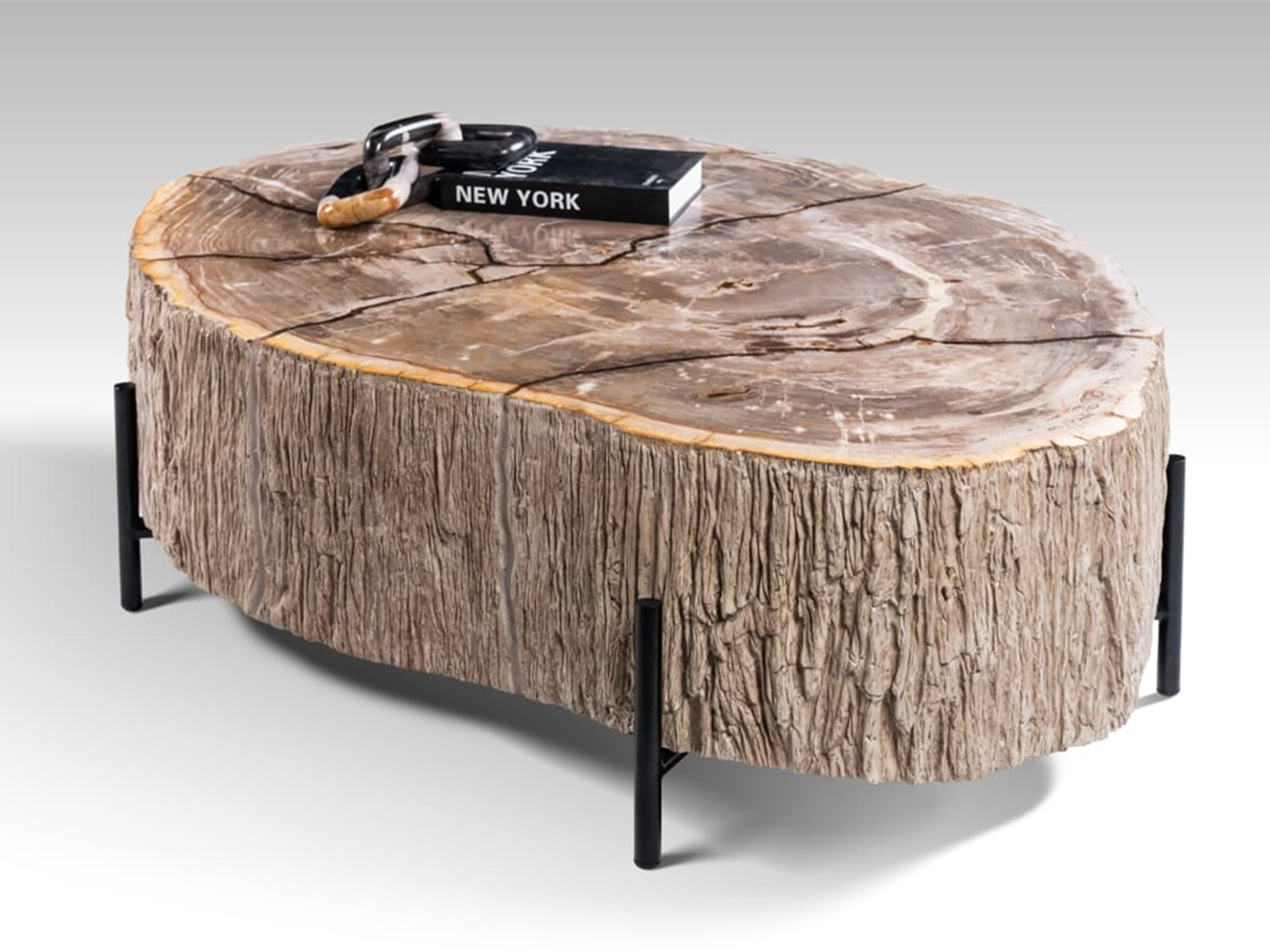 Salontafel Petra - 120x100x40cm - Lampung petrified wood coffeetable