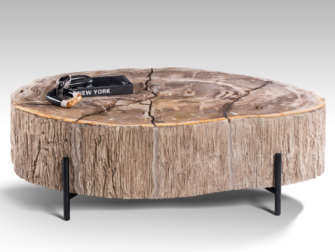 Salontafel Petra - 120x100x40cm - Lampung petrified wood coffeetable