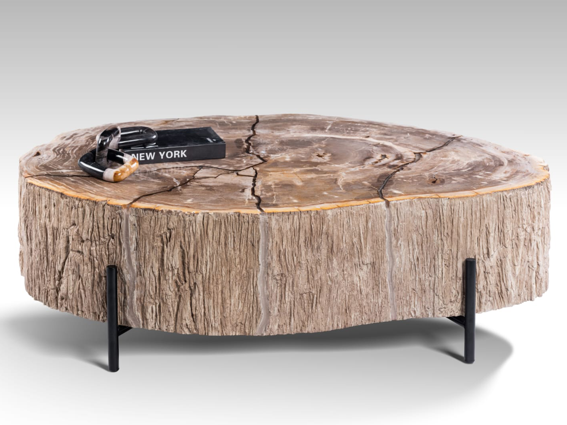Salontafel Petra - 120x100x40cm - Lampung petrified wood coffeetable